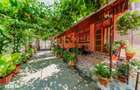 Casa foarte spatioasa cu gradina si gospodarie, Santana - 8