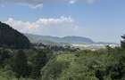 Teren intravilan deosebit, 572 mp, langa padure POT 40% Ideal rezidential, Strada Morii , Mun. Sacele - 6