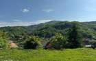 Teren intravilan 412 mp. plus garaj, sat Ocolis, jud Alba - 6