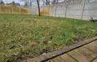 Casă cu 3 camere cu Teren 350 Mp în Vladimirescu - 5