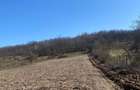 Teren de vanzare 11.000 mp, acces asfaltat - 5