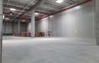 Spatii Industriale - 5000 mp - Logistica - Productie - Depozitare - 4