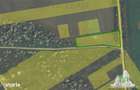 Teren Intravilan pentru constructie, 3000mp, Branesti, Ilfov