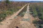 Cota 1/3 din teren intravilan loc. Isalnita, Judetul Dolj R3259111 - 3