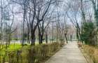Apartament 2 camere, 32 mp, zona Centru - 1