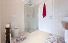 Penthouse cu 4 camere, mobilat si utilat, in zona Torontalului - 12