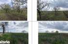 Teren cota parte 3/16, Sipote, ID: R3070063 - 7