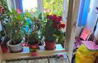 Etaj 3/4, garsoniera 23 mp, balcon, inchis, ideal investitie, Galata - 7