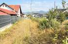 ZONA CASTEL TRANSILVANIA -str. VRANCEI -casa parter la rosu cu teren 1678mp! - 2
