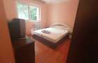 Apartament 2 camere Nicolina, ETAJ 1, investitia ideala - 2