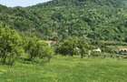 Teren de vanzare Com Berislavesti, Valcea - 8