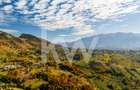 Casa Galbenă din Măgura – Un loc în care timpul curge altfel