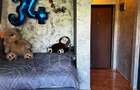 Apartament o camera în zona FABRICII