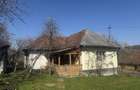 Casă cu 3 camere cu Teren 4500 Mp în Băița - 9