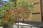 Apartament 2 camere / Aleea Jupiter