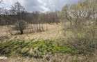 Proprietar vand teren in Brebu Nou 2877 mp - 3