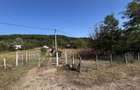 Casa Locuibila complet utilata Samburesti Olt + 2800 mp teren si livada