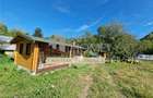 Teren cu constructii Cosmina de Sus - Foisor, baie, cabanuta - 1