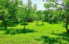 Teren intravilan Talea situat in mijlocul naturii !