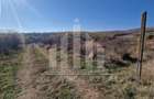 Teren intravilan | De vanzare | 3900 mp | 17 ml deschidere | Cetate