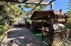 Casa + teren 882 mp, zona centrala Tecuci Str. Costache Racovita | Proprietar