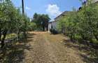 Casa cu 5 camere, curte ?i pivni?a, 35000 EUR - 18