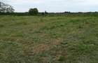 Teren intravilan Vetis - 3