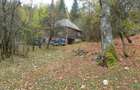 Casa + 4,4 ha (arabil, pa?une, padure), Scari?oara, Alba - 6