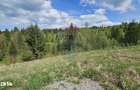 Teren 4048mp Campulung Moldovenesc, Strada Izvorul Alb, Suceava - 10