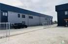 4 Hale Industriale, suprafata constructie 425mp, teren 1075, Linia de - 3