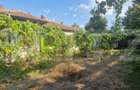 Teren 444 mp , dubla deschidere, zona Catargiu - 1
