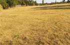 Teren de 2100 mp, în Rădăcinești - 8
