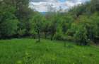 Teren de vanzare Varfuri, Dambovita - 2