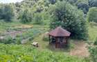 Casa Naturala in Transilvania - 8