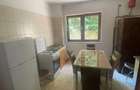 Apartament 2 camere in regim hotelier - Baile Herculane - 5