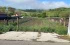 Vand teren in sat ?mig, com. Alma, Jud .Sibiu. 1625 mp. - 4