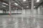 Spatiu Industrial - 6000 mp - Logistica - Productie - Depozitare - Distributie - 5