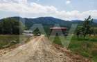 Teren Construcții de 2000 mp, în Cisnădioara - 4