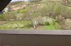 Vila de vanzare, Holboca, Ruseni - 4