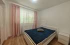 Apartament 2 camere Politehnica Park Residence, #987