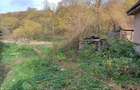 Casă cu 4 camere cu Teren 2878 Mp în Dognecea - 4