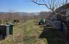 CASA cu LIVADA incepe o noua afacere sau conecteaza-te cu natura!!! - 2