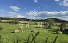 Casă individuală cu 2 camere cu Garaj în Sânpaul - 24