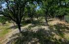Teren intravilan 4,516mp Doina - 11