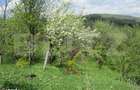 Teren de vanzare, 884 mp, zona Runcu - 1