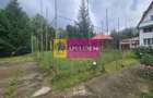 Hotel/Pensiune, de 38.833301544190 mp, în Poiana Țapului - 57