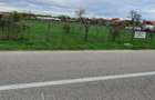 Casă cu 4 camere cu Teren 1230 Mp în Balinț - 3
