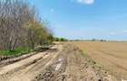 Vand teren extravilan 7800 mp in sat Lipia, com. Gruiu, jud. IF - 7