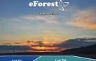Profita acum de oferta de Pa?te! Langa padure. zona verde - eForest - 1