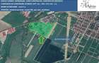 Oportunitate Investitie Industriala/Parc Logistic - 2